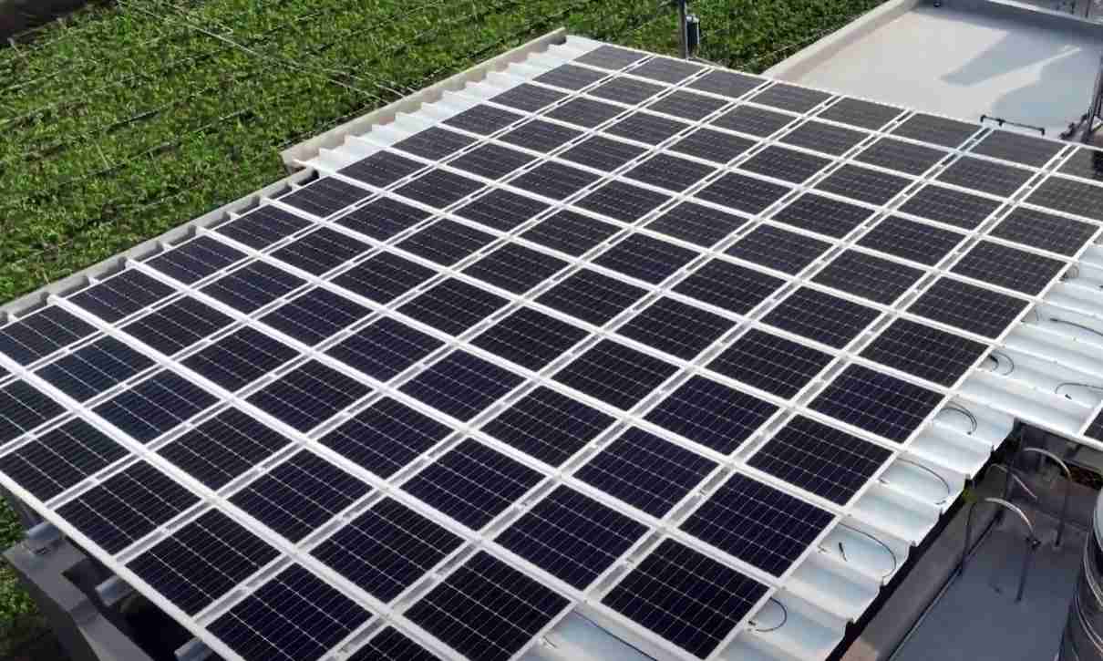 财神娱乐SunSteel光电浪板升级双玻结构，，以提升机械负载强度及气候耐候度，，，可广泛运用于多元场域